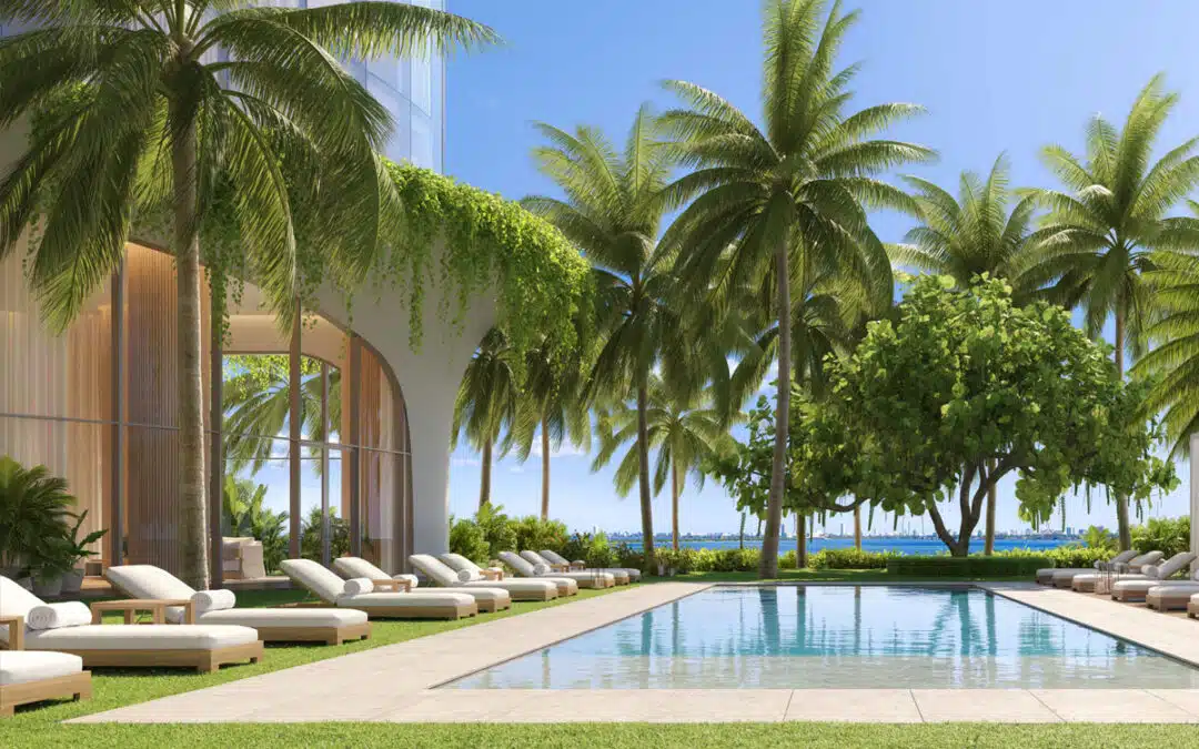 edition residences miami pool area and coconut trees